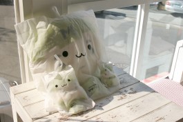 graphic designer hongbaksa 그래픽 디자이너 홍박사