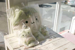 graphic designer hongbaksa 그래픽 디자이너 홍박사