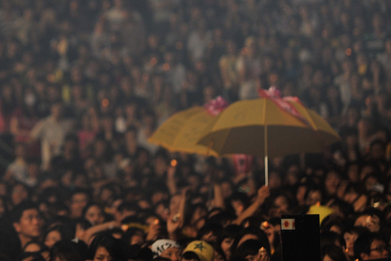 graphic designer hongbaksa 그래픽 디자이너 홍박사