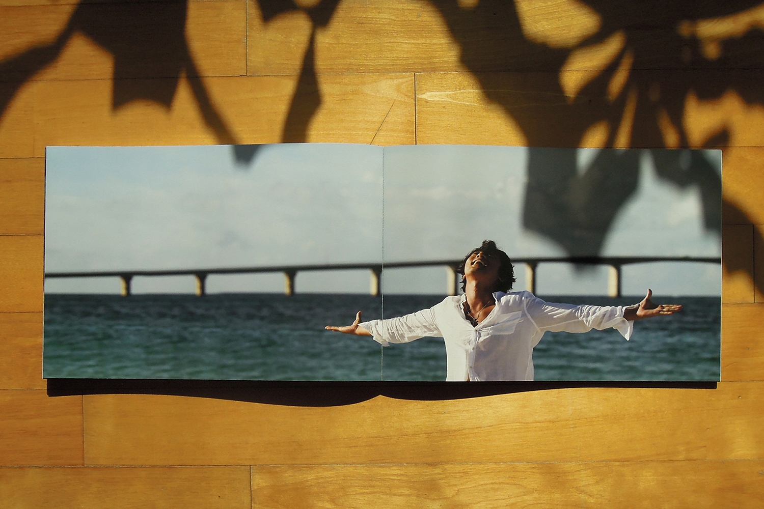 graphic designer hongbaksa 그래픽 디자이너 홍박사