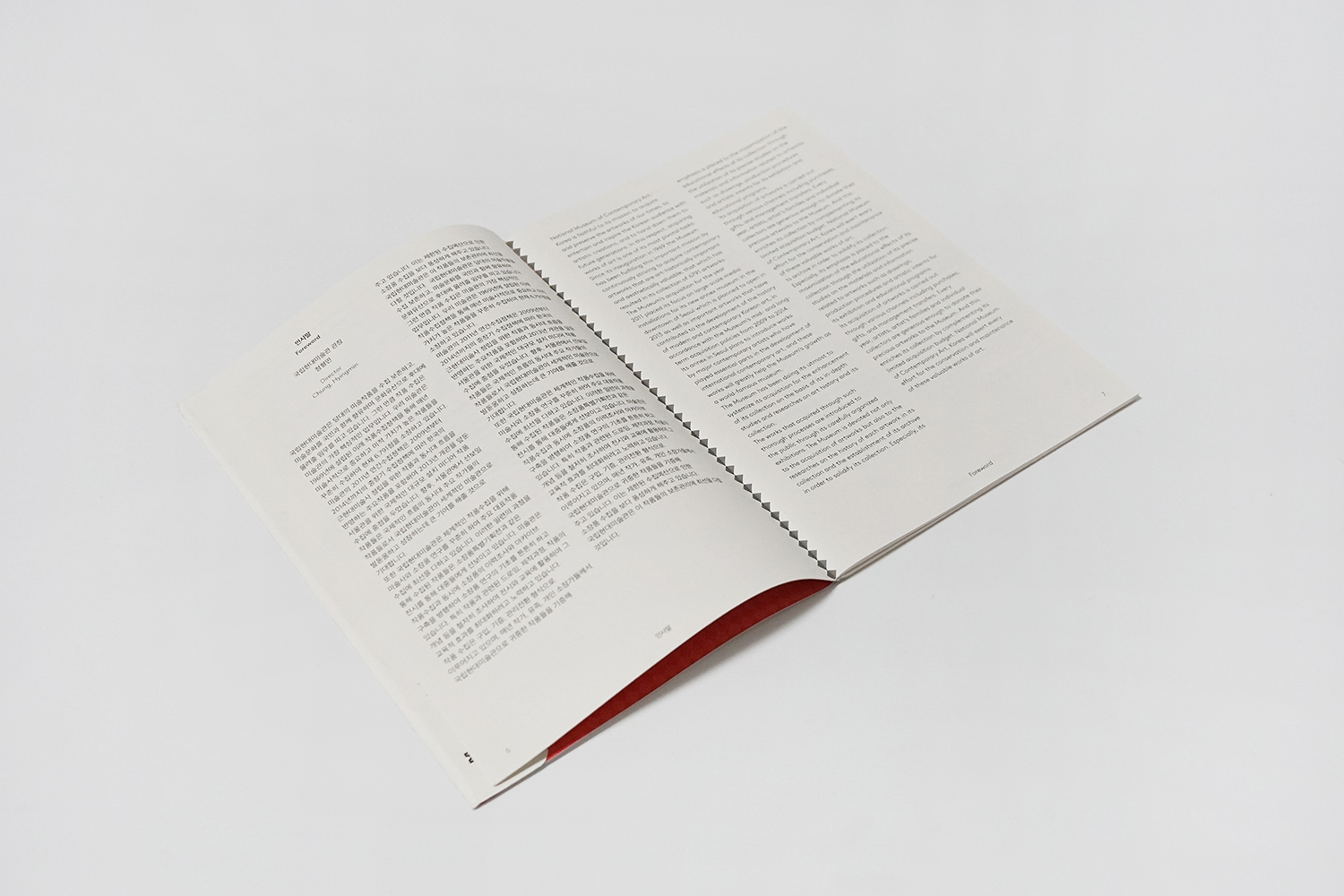 graphic designer hongbaksa 그래픽 디자이너 홍박사