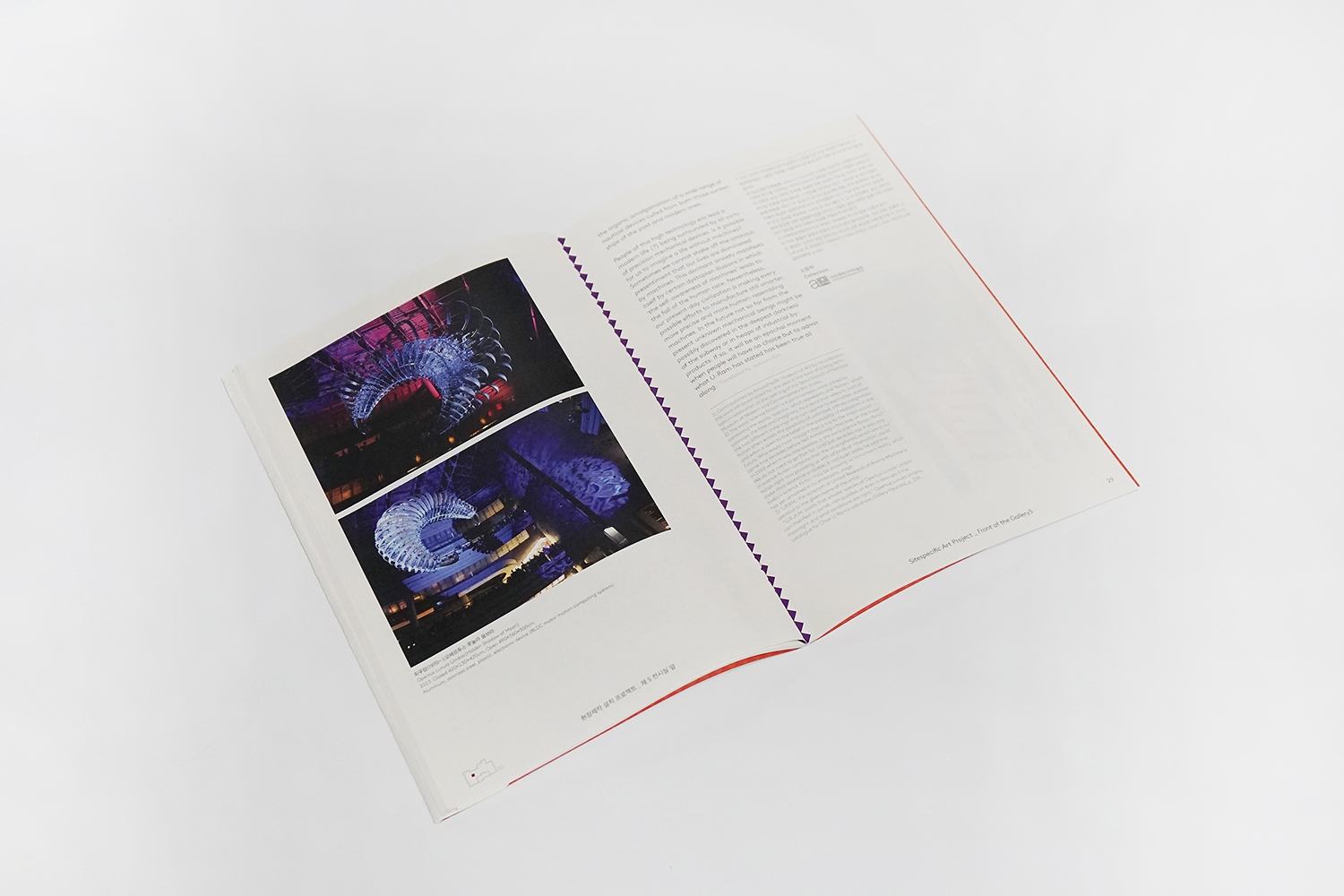 graphic designer hongbaksa 그래픽 디자이너 홍박사