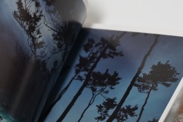 graphic designer hongbaksa 그래픽 디자이너 홍박사