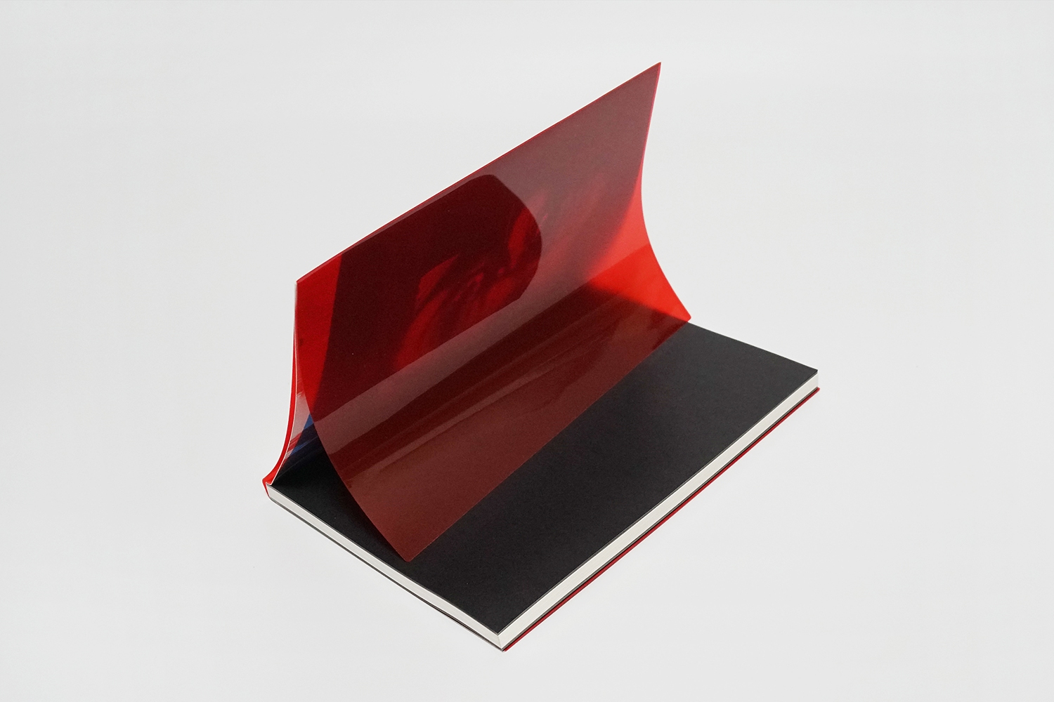 graphic designer hongbaksa 그래픽 디자이너 홍박사