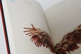 graphic designer hongbaksa 그래픽 디자이너 홍박사