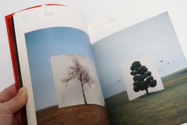 graphic designer hongbaksa 그래픽 디자이너 홍박사