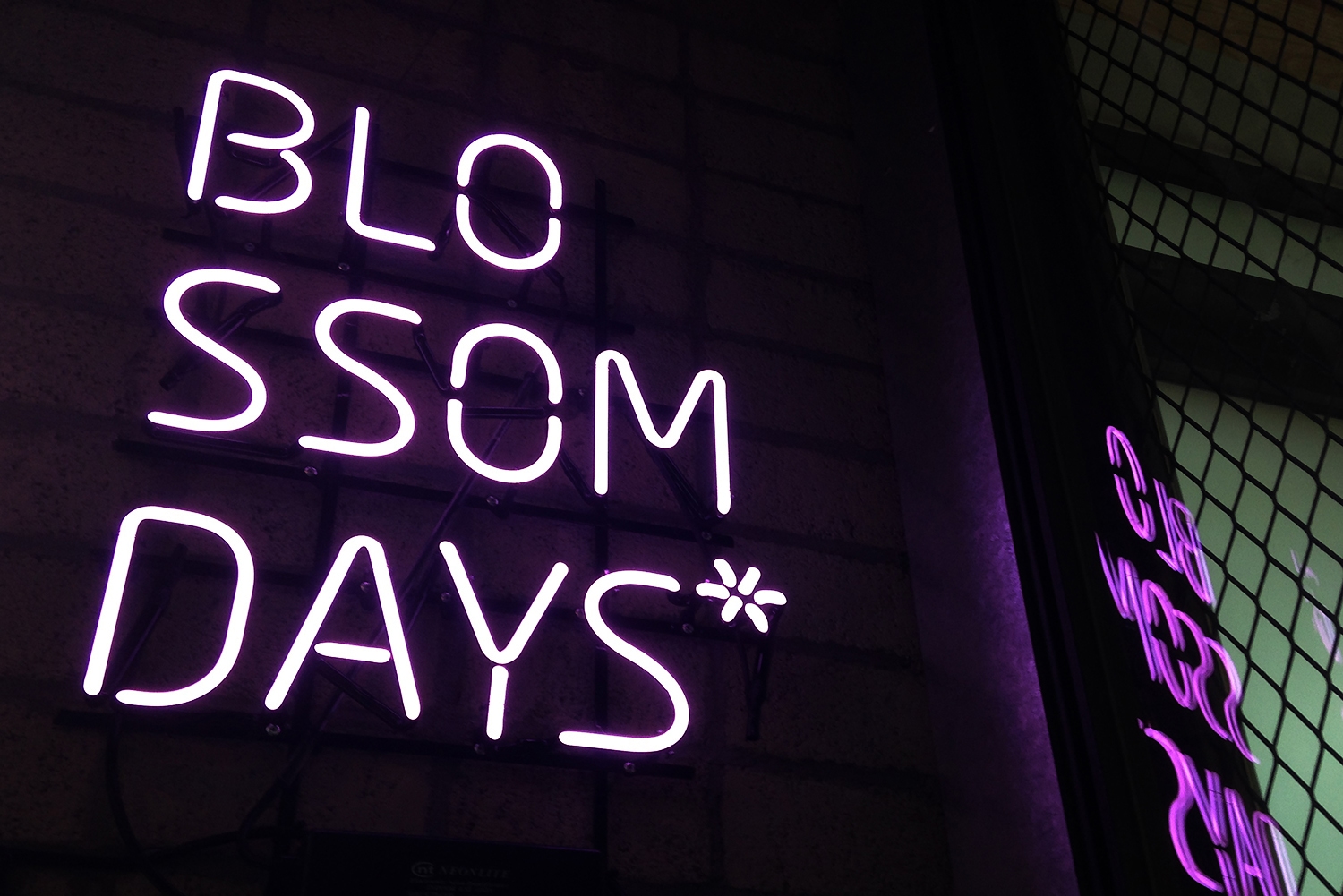 graphic designer hongbaksa 그래픽 디자이너 홍박사