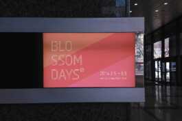 graphic designer hongbaksa 그래픽 디자이너 홍박사