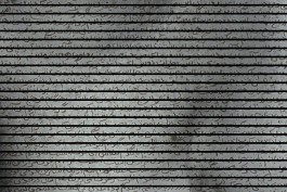 graphic designer hongbaksa 그래픽 디자이너 홍박사