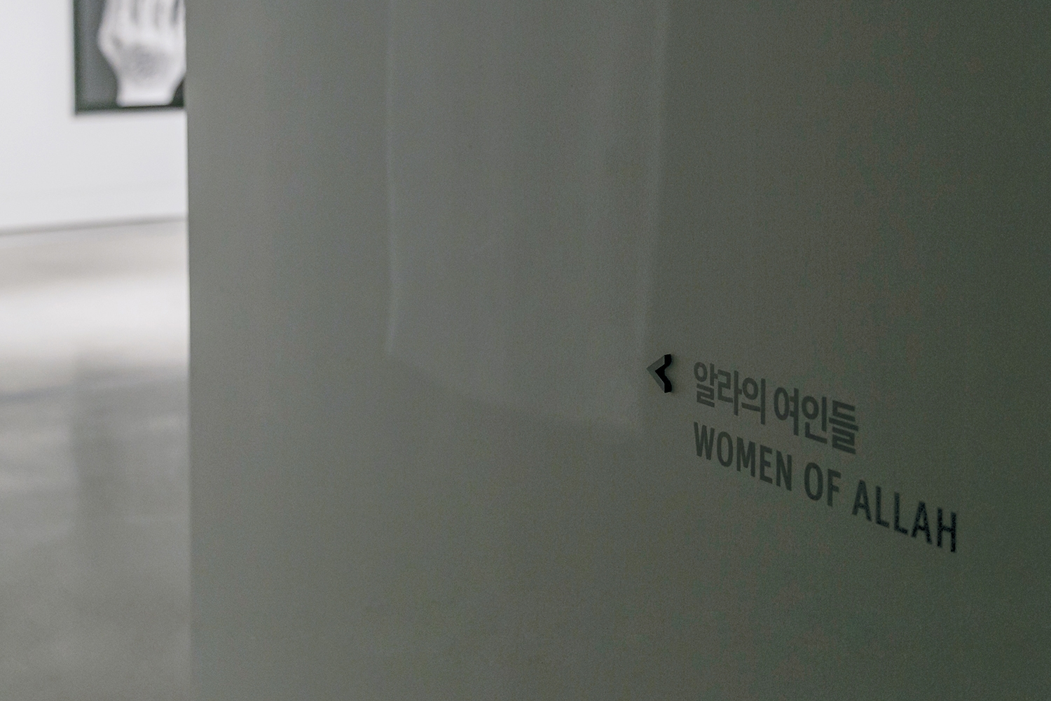 graphic designer hongbaksa 그래픽 디자이너 홍박사