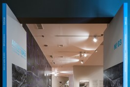 graphic designer hongbaksa 그래픽 디자이너 홍박사