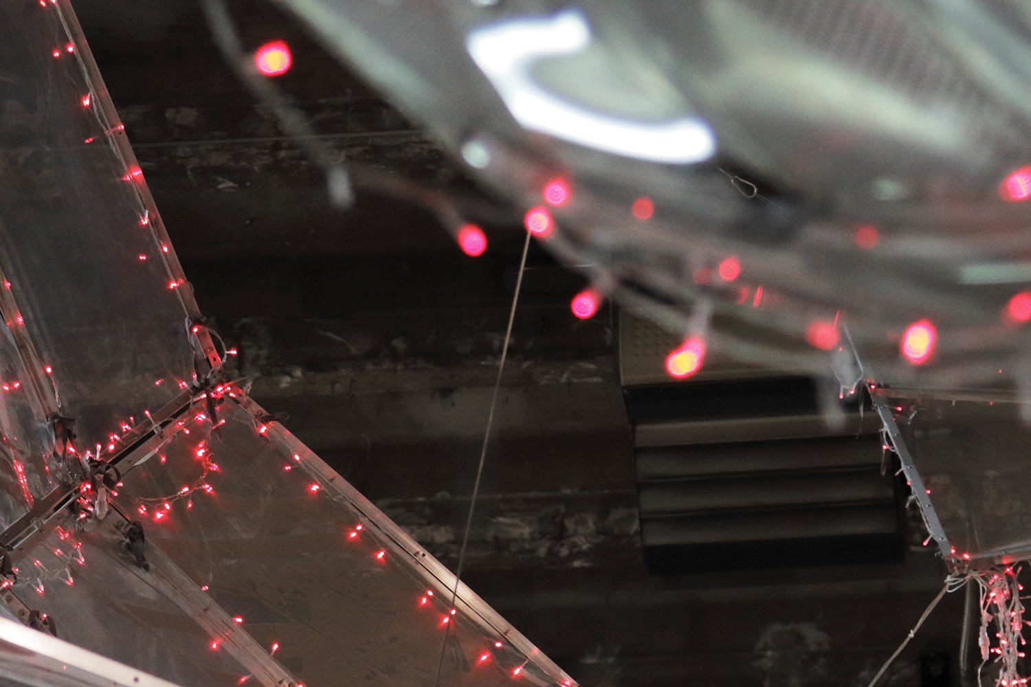 graphic designer hongbaksa 그래픽 디자이너 홍박사