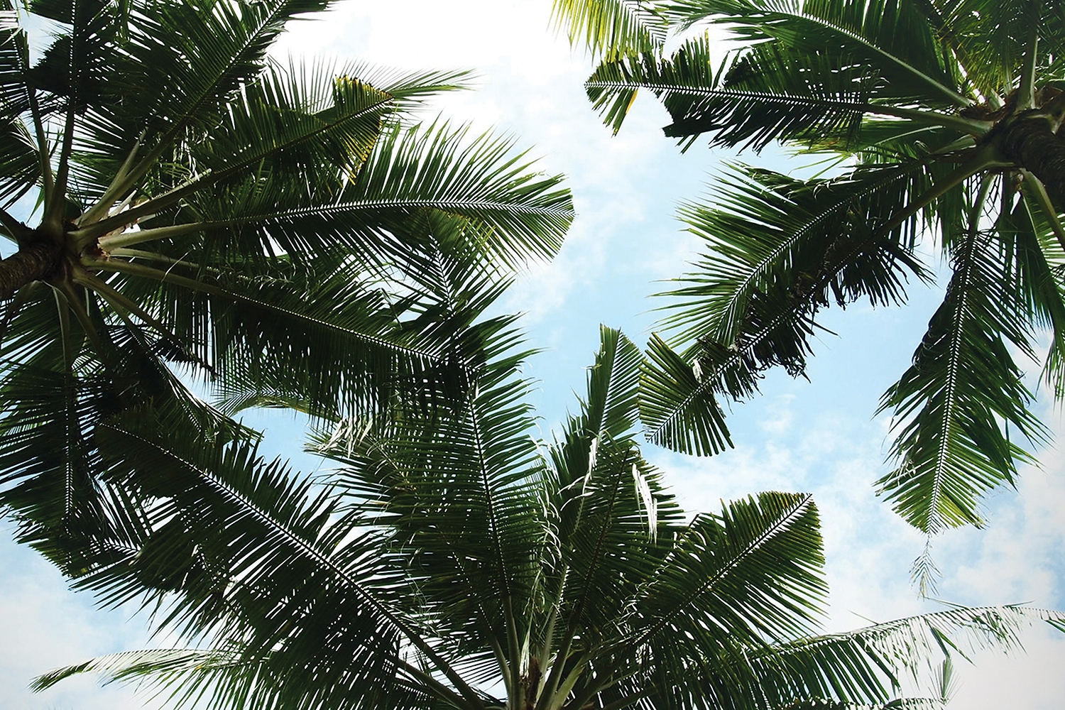 graphic designer hongbaksa 그래픽 디자이너 홍박사