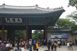 graphic designer hongbaksa 그래픽 디자이너 홍박사