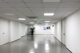 graphic designer hongbaksa 그래픽 디자이너 홍박사