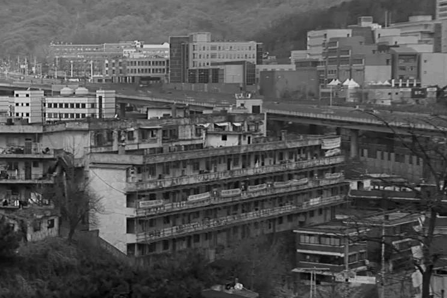 graphic designer hongbaksa 그래픽 디자이너 홍박사