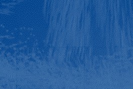 graphic designer hongbaksa 그래픽 디자이너 홍박사