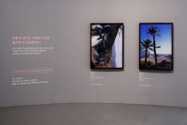 graphic designer hongbaksa 그래픽 디자이너 홍박사