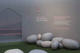 graphic designer hongbaksa 그래픽 디자이너 홍박사