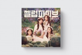 graphic designer hongbaksa 그래픽 디자이너 홍박사