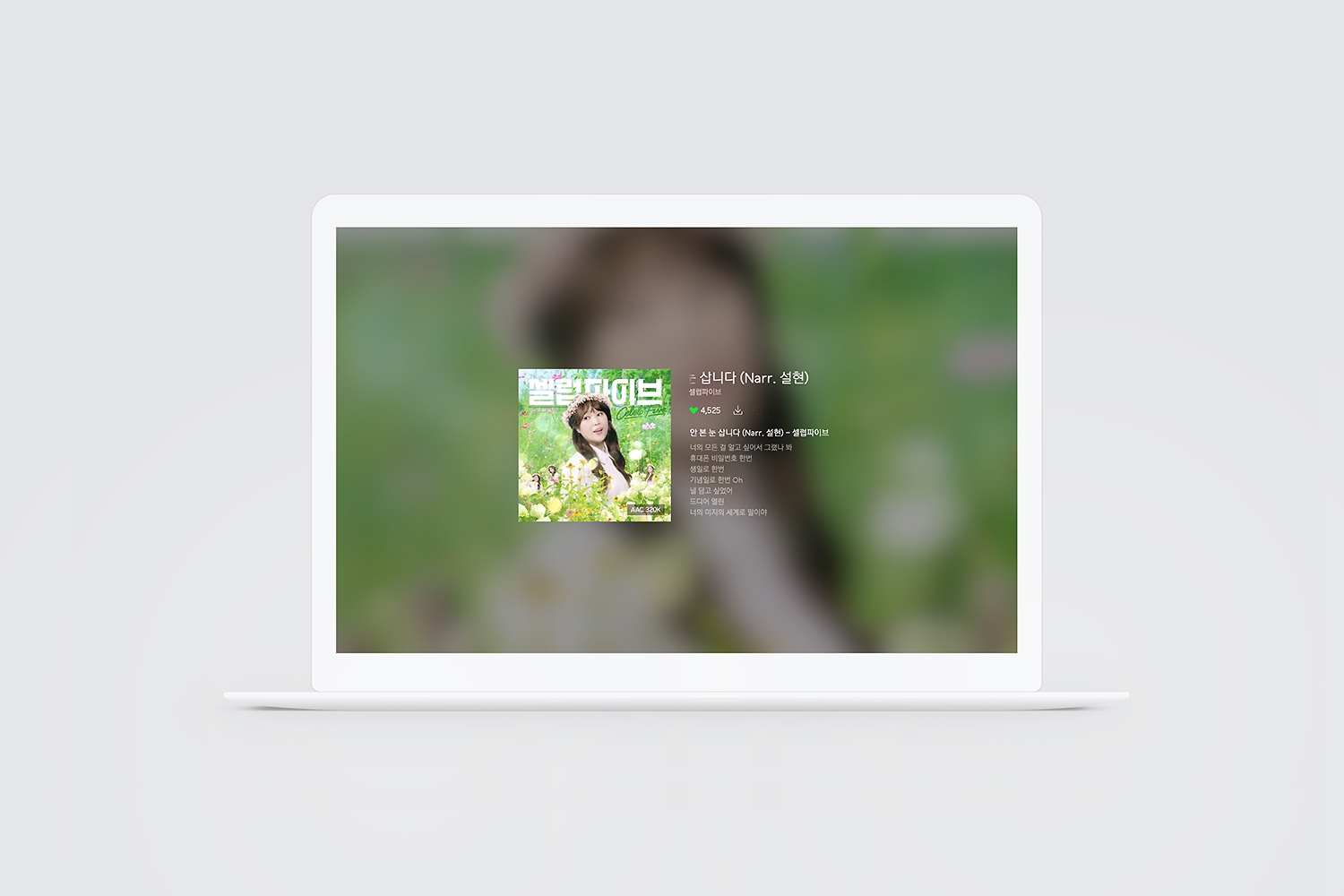 graphic designer hongbaksa 그래픽 디자이너 홍박사