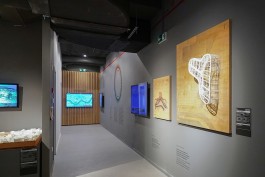 graphic designer hongbaksa 그래픽 디자이너 홍박사