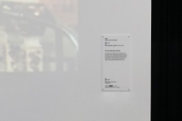 graphic designer hongbaksa 그래픽 디자이너 홍박사