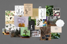 graphic designer hongbaksa 그래픽 디자이너 홍박사