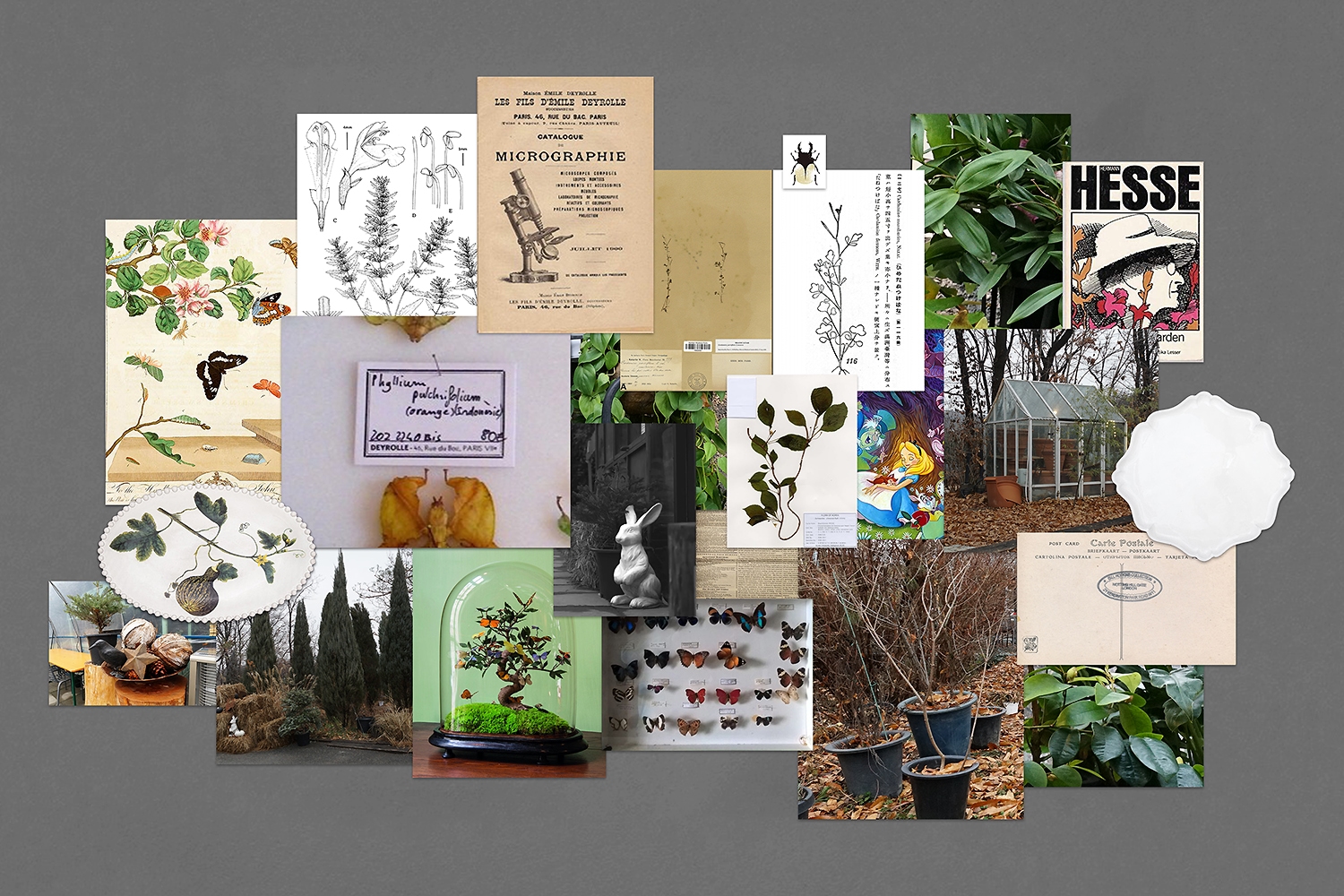 graphic designer hongbaksa 그래픽 디자이너 홍박사