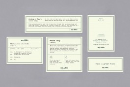 graphic designer hongbaksa 그래픽 디자이너 홍박사