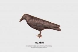 graphic designer hongbaksa 그래픽 디자이너 홍박사