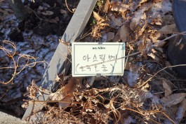 graphic designer hongbaksa 그래픽 디자이너 홍박사