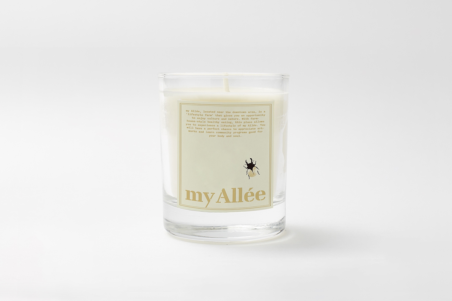 graphic designer hongbaksa 그래픽 디자이너 홍박사