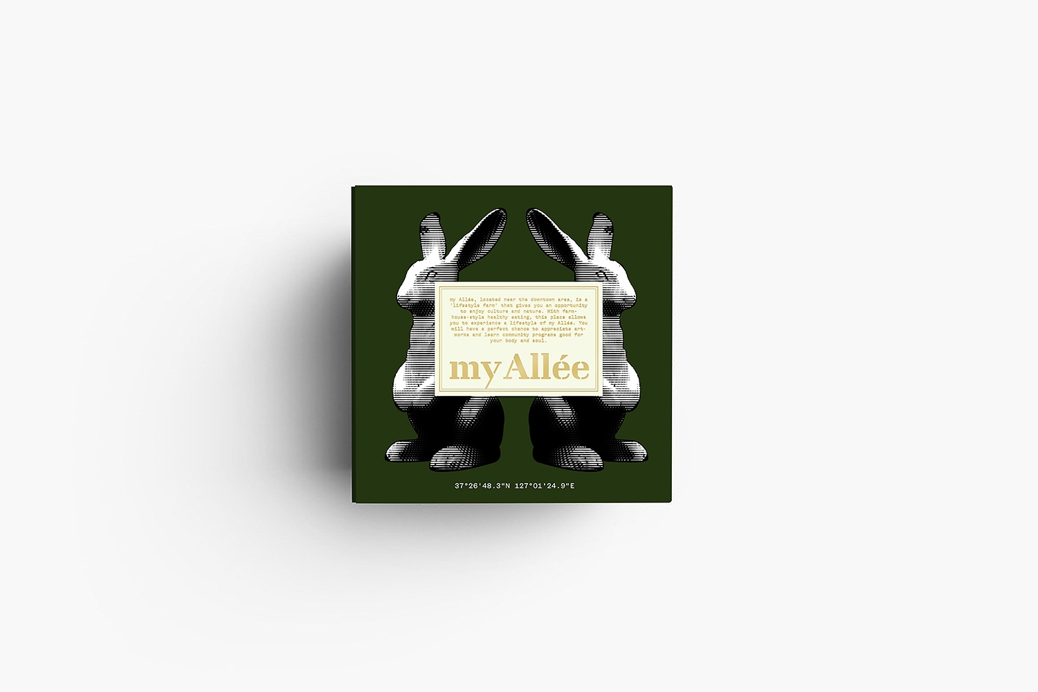 graphic designer hongbaksa 그래픽 디자이너 홍박사