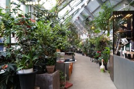 graphic designer hongbaksa 그래픽 디자이너 홍박사