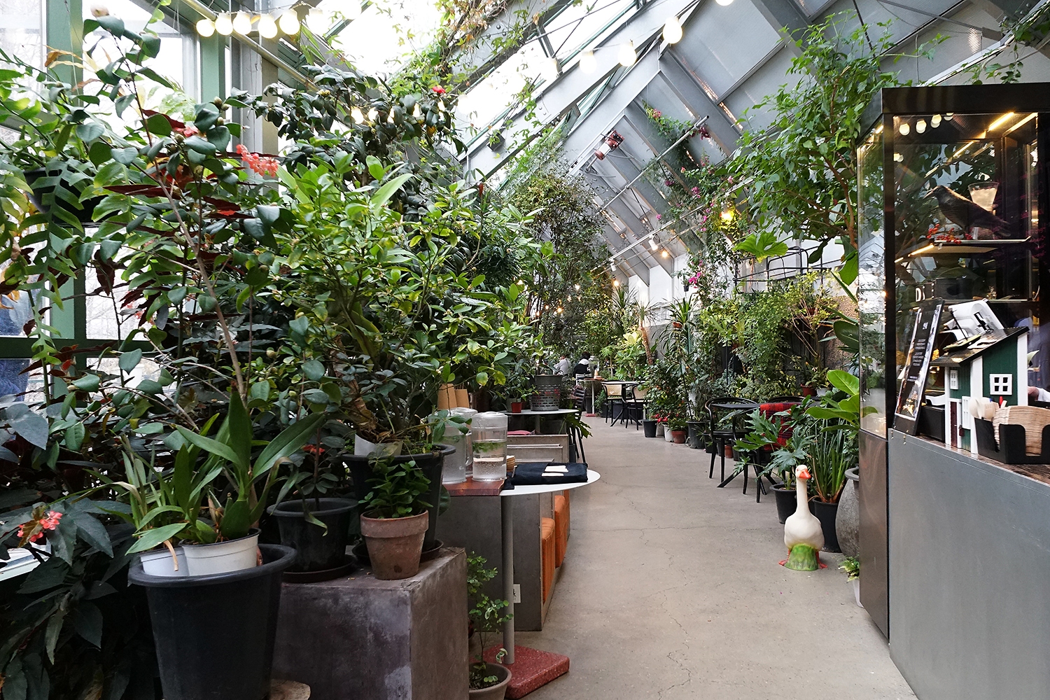 graphic designer hongbaksa 그래픽 디자이너 홍박사