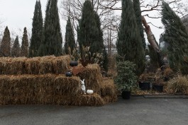 graphic designer hongbaksa 그래픽 디자이너 홍박사