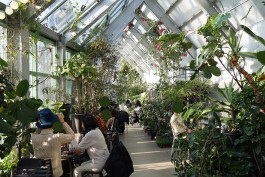 graphic designer hongbaksa 그래픽 디자이너 홍박사