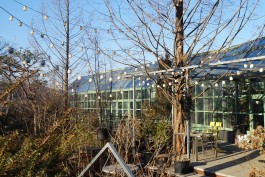 graphic designer hongbaksa 그래픽 디자이너 홍박사