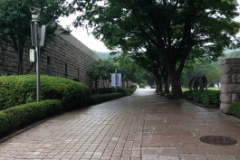 graphic designer hongbaksa 그래픽 디자이너 홍박사