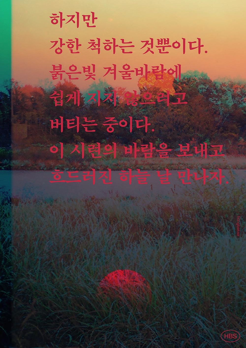 graphic designer hongbaksa 그래픽 디자이너 홍박사