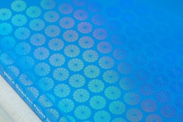 graphic designer hongbaksa 그래픽 디자이너 홍박사