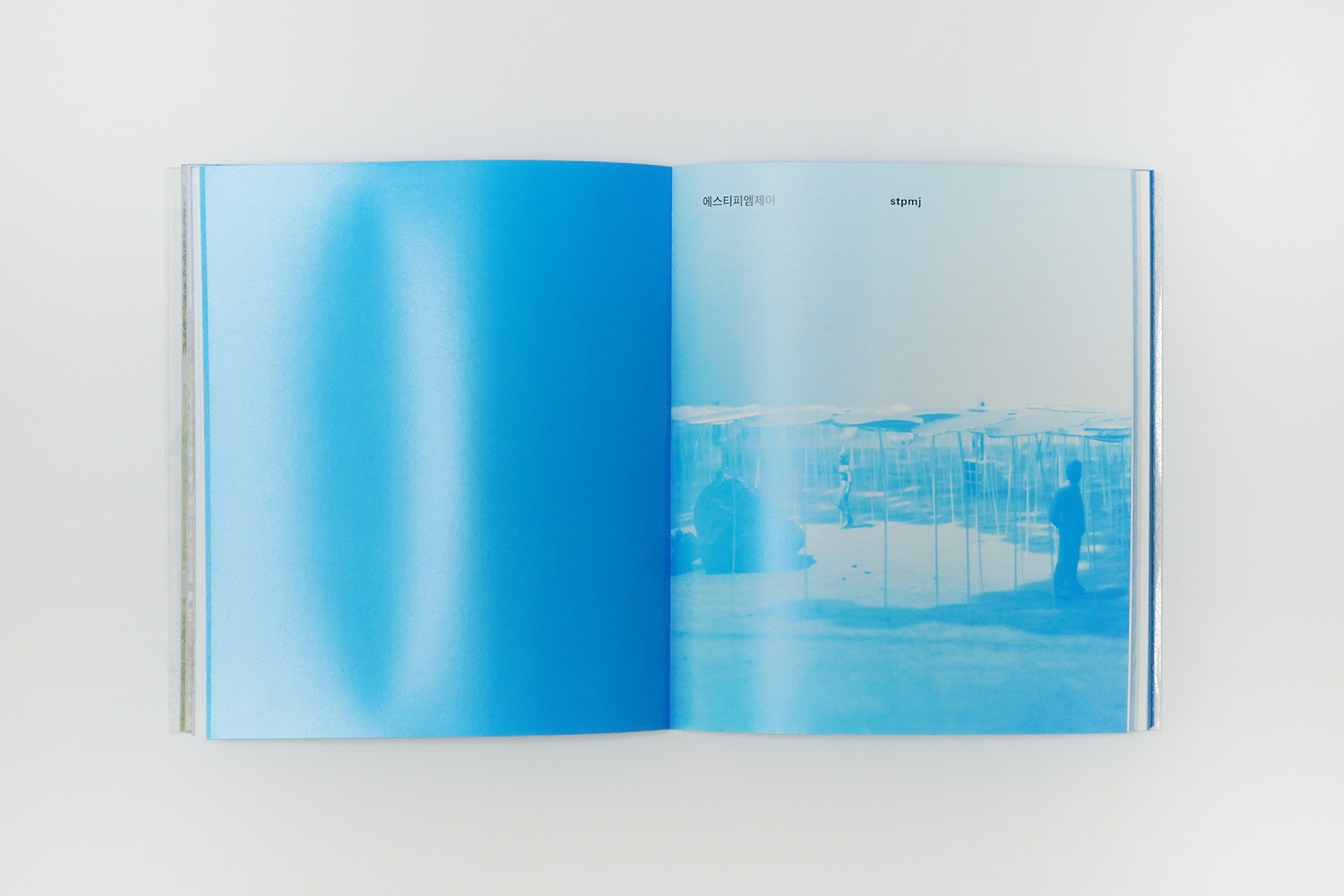 graphic designer hongbaksa 그래픽 디자이너 홍박사