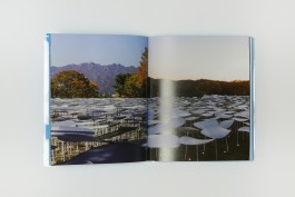 graphic designer hongbaksa 그래픽 디자이너 홍박사