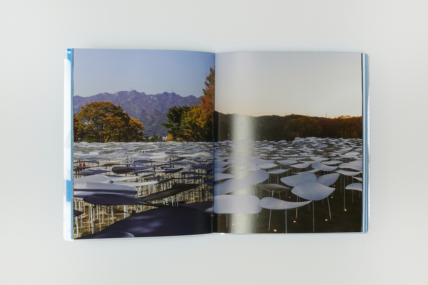 graphic designer hongbaksa 그래픽 디자이너 홍박사