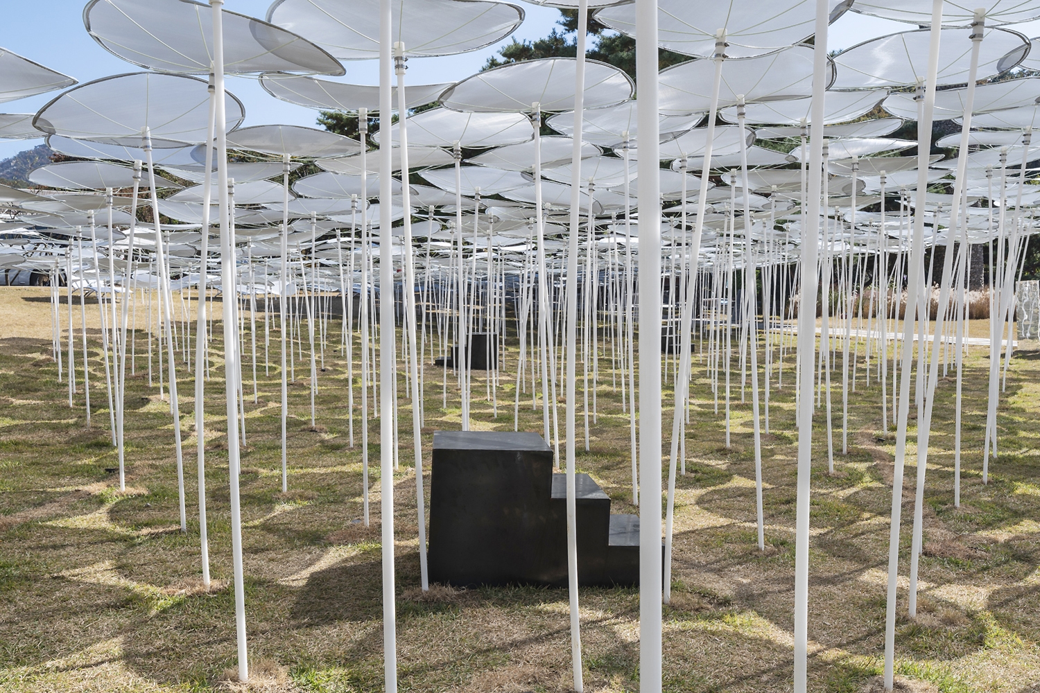 graphic designer hongbaksa 그래픽 디자이너 홍박사