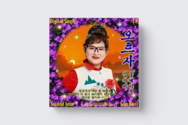 graphic designer hongbaksa 그래픽 디자이너 홍박사