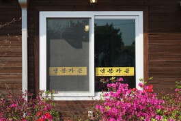 graphic designer hongbaksa 그래픽 디자이너 홍박사