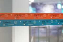 graphic designer hongbaksa 그래픽 디자이너 홍박사