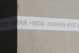 graphic designer hongbaksa 그래픽 디자이너 홍박사